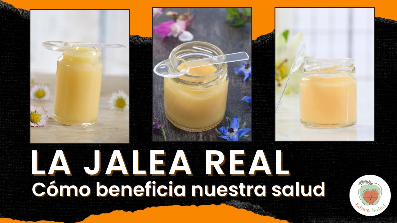 Jalea real en mercadona: precios y beneficios que debes conocer 1 jalea real mercadona precio