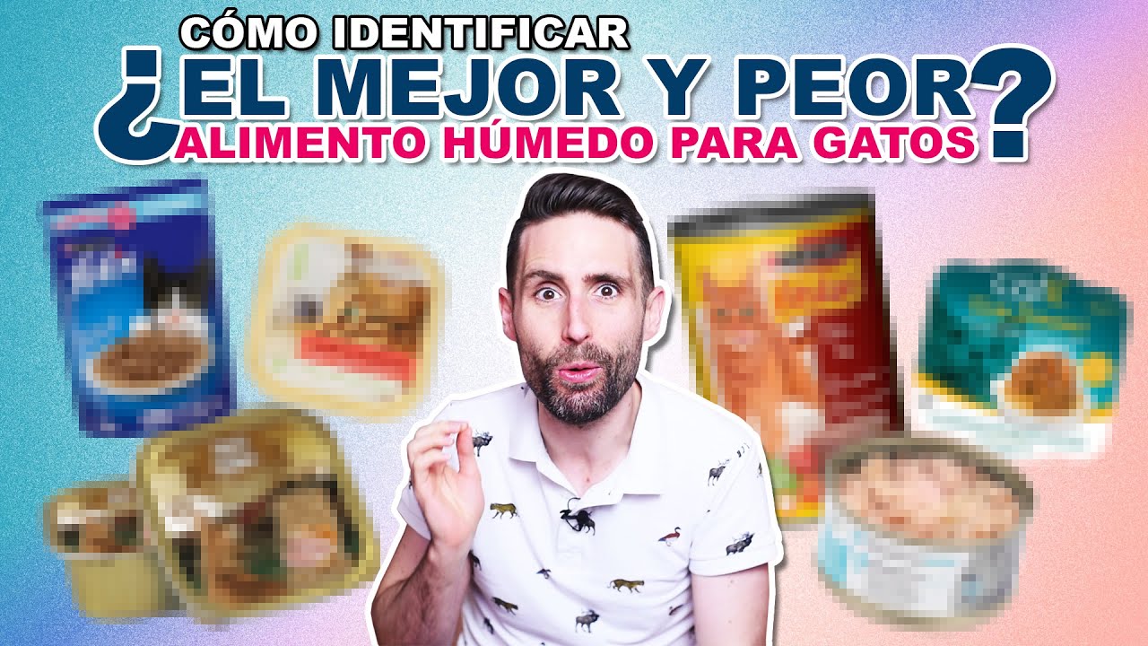 Chuches para gatos en Mercadona: opciones y recomendaciones 1 chuches gato mercadona
