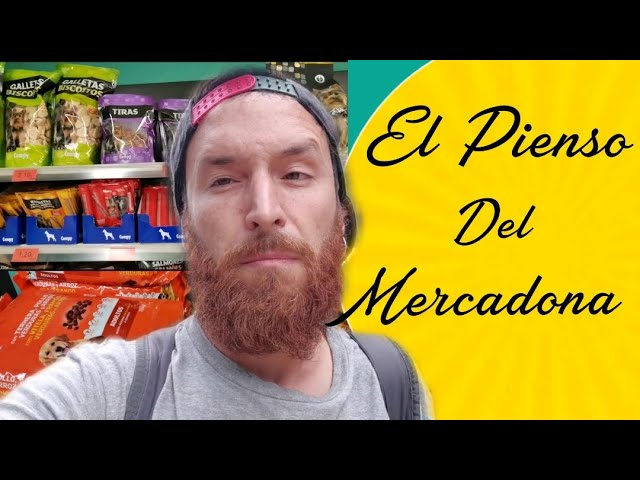 Pienso para gato junior en mercadona precio y comparativa 1 pienso gato junior mercadona precio