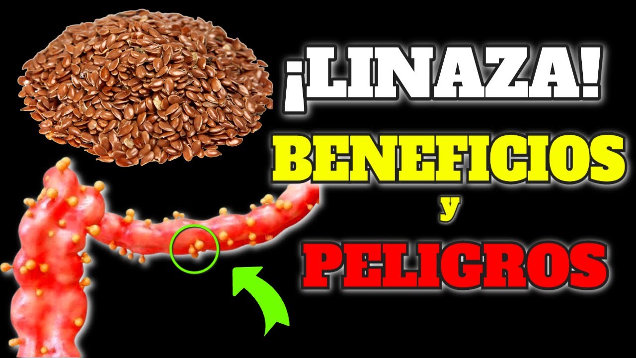 Semillas de lino en Mercadona: precio y beneficios nutricionales 1 semillas de lino mercadona precio