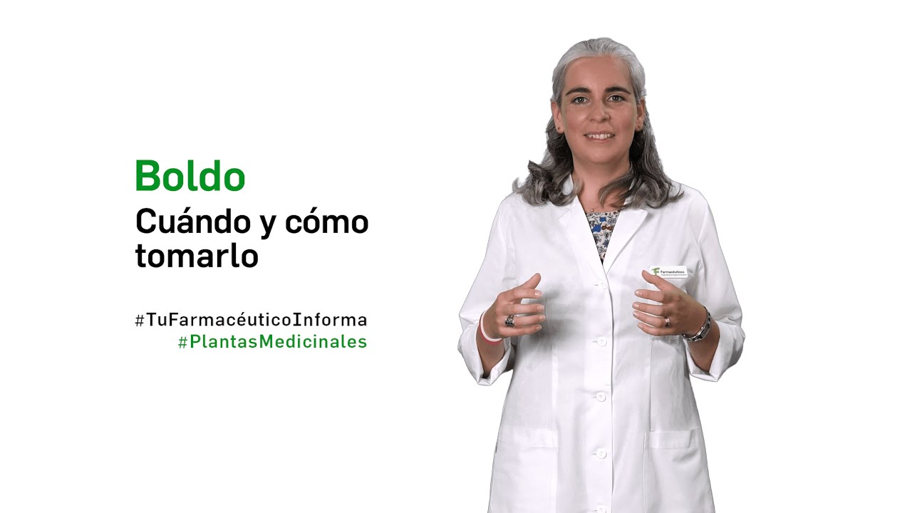Precio del té de boldo en Mercadona y beneficios para la salud 1 te de boldo mercadona precio